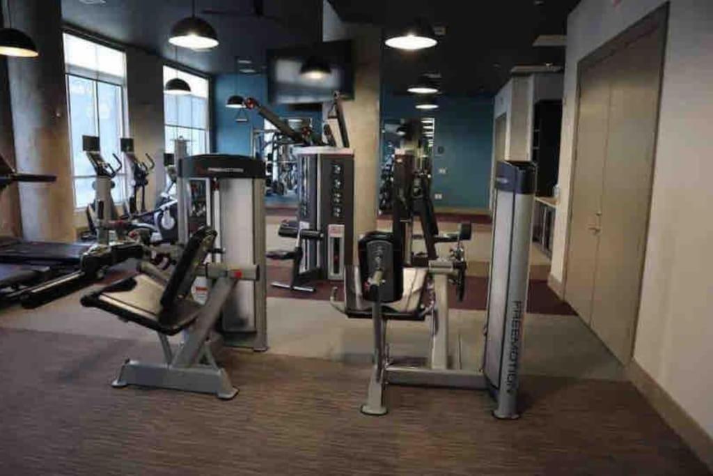 Fancy Apt Downtown. Pool. Gym. Lounge. Pet Ok 休斯敦 外观 照片