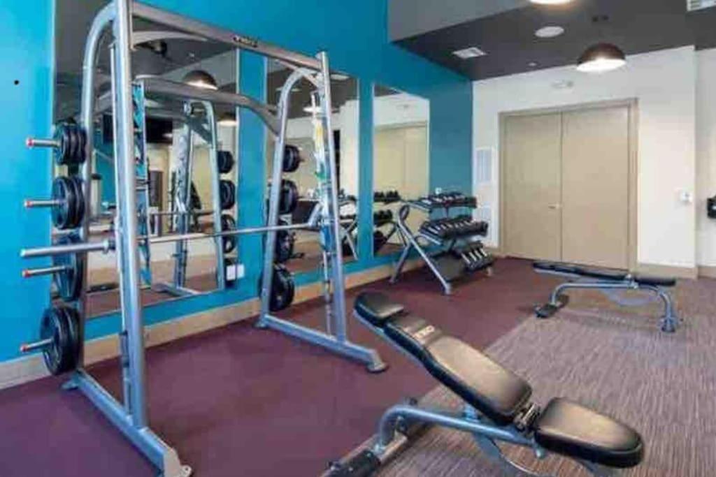 Fancy Apt Downtown. Pool. Gym. Lounge. Pet Ok 休斯敦 外观 照片